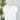 Z Supply Nomad V Neck Tee in White-121 - Jersey Tops F/W (June - Nov)-Little Bird Boutique