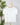 Z Supply Nomad V Neck Tee in White-121 - Jersey Tops F/W (June - Nov)-Little Bird Boutique