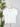 Z Supply Nomad V Neck Tee in White-121 - Jersey Tops F/W (June - Nov)-Little Bird Boutique