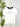 Z Supply Salty Contrast Boyfriend Tee in Sea Salt-121 - Jersey Tops F/W (June - Nov)-Little Bird Boutique
