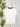 Z Supply Salty Contrast Boyfriend Tee in Sea Salt-121 - Jersey Tops F/W (June - Nov)-Little Bird Boutique