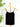 Nikibiki Short Length Camisole in Black-121 - Jersey Tops F/W (June - Nov)-Little Bird Boutique