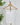 Nikibiki Short Length Camisole in White
