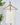 Nikibiki Short Length Camisole in Ivory