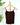 Nikibiki Short Length Camisole in Coffee Bean