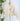 Dex Tie Waist Jacket in Cream-141 Outerwear Coats & Jackets-Little Bird Boutique