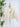 Dex Tie Waist Jacket in Cream-141 Outerwear Coats & Jackets-Little Bird Boutique
