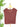 True Form Sweater in Marsala-131 - Sweaters F/W (June - Nov)-Little Bird Boutique