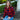 Thread and Supply Elsie Shirt in Black Tomato Plaid-111 - Woven Top F/W (June- Nov)-Little Bird Boutique