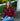 Thread and Supply Elsie Shirt in Black Tomato Plaid-111 - Woven Top F/W (June- Nov)-Little Bird Boutique