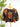 THML Floral Daydream Top in Brown-111 - Woven Top F/W (June- Nov)-Little Bird Boutique