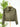 Wit & Wisdon Corduroy Crop Zip Jacket in Forest Moss-141 Outerwear Coats & Jackets-Little Bird Boutique