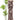 Anthem the Label Sleeveless Ruffle Midi Dress in Brown Multi-152 Dresses - Long-Little Bird Boutique
