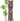 Anthem the Label Sleeveless Ruffle Midi Dress in Brown Multi-152 Dresses - Long-Little Bird Boutique