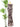 Anthem the Label Sleeveless Ruffle Midi Dress in Brown Multi-152 Dresses - Long-Little Bird Boutique