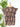 THML Morning Petals Top in Brown Multi-111 - Woven Top F/W (June- Nov)-Little Bird Boutique