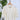 THML Puff Sleeve Peasant Top in Cream-111 - Woven Top F/W (June- Nov)-Little Bird Boutique
