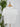 Dex Essential Tee in White-121 - Jersey Tops F/W (June - Nov)-Little Bird Boutique