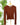 Dex Henley Sweater in Terracotta-131 - Sweaters F/W (June - Nov)-Little Bird Boutique
