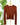 Dex Henley Sweater in Terracotta-131 - Sweaters F/W (June - Nov)-Little Bird Boutique
