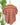 Cara Plaid Rolled Sleeve Top in Burgundy-111 - Woven Top F/W (June- Nov)-Little Bird Boutique