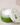 The Cottage Greenhouse Lemon Blooms & Honey Body Butter-440 Bath & Body-Little Bird Boutique