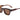 I-SEA Camden in Tortoise/Brown-311 Fashion Accessories-Little Bird Boutique
