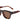 I-SEA Camden in Tortoise/Brown-311 Fashion Accessories-Little Bird Boutique